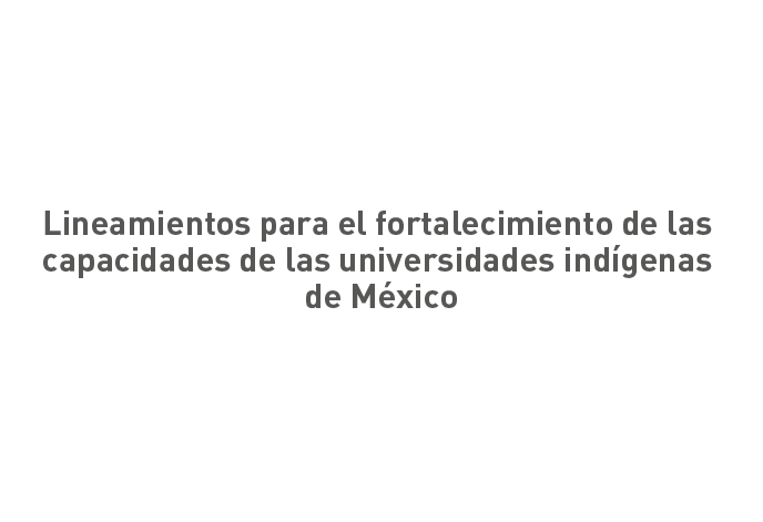 Lineamientos para el fortalecimiento de las capacidades de las universidades indígenas de México